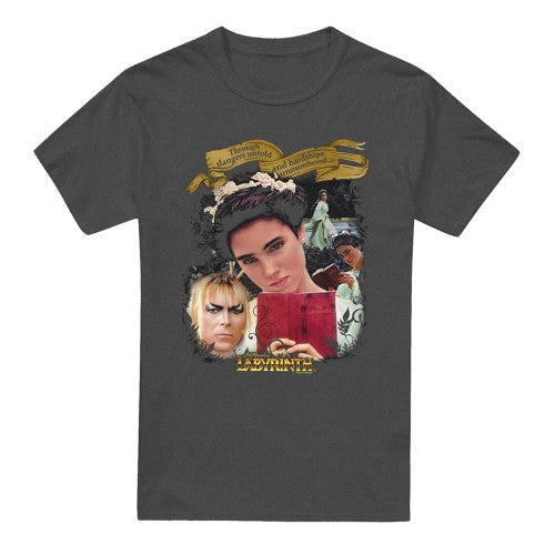 Front - Labyrinth Unisex Adult Dangers Untold Heather T-Shirt