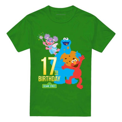 Front - Sesame Street Unisex Adult 17th Birthday T-Shirt