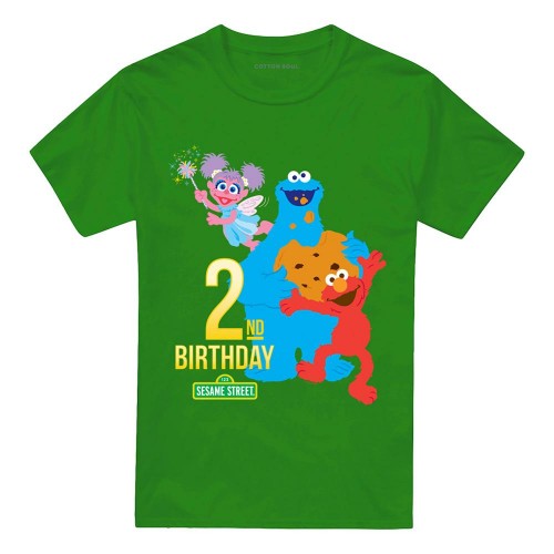 Front - Sesame Street Unisex Adult 2nd Birthday T-Shirt