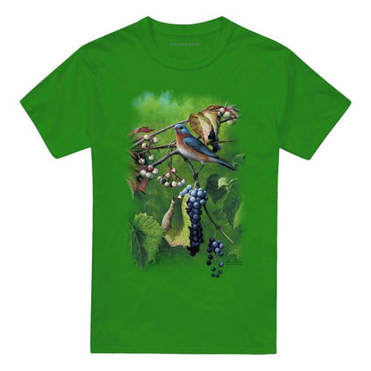 Front - Wildlife Unisex Adult Summertime Eastern Bluebird T-Shirt