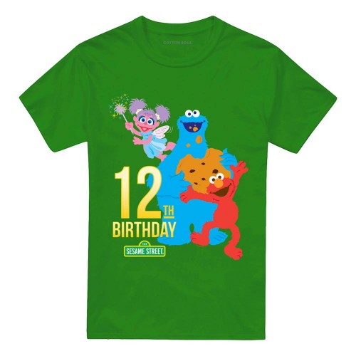 Front - Sesame Street Unisex Adult 12th Birthday T-Shirt