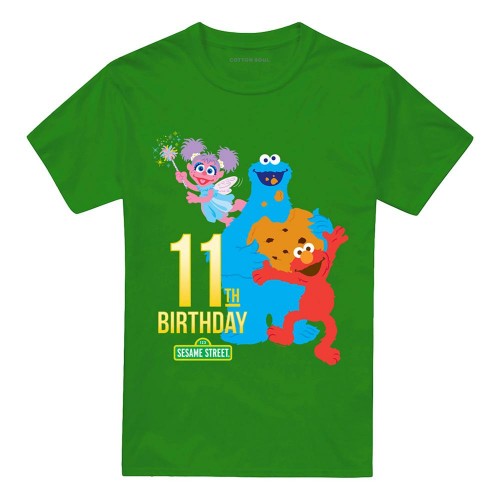 Front - Sesame Street Unisex Adult 11th Birthday T-Shirt