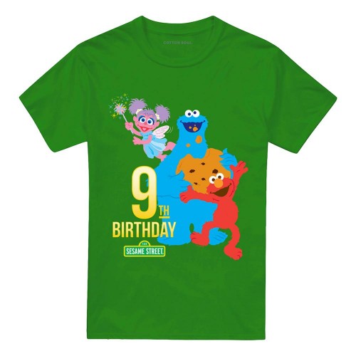 Front - Sesame Street Unisex Adult 9th Birthday T-Shirt