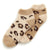 Front - Forever Dreaming Womens/Ladies Animal Ankle Socks (Pack Of 2)