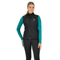 Front - Dublin Womens/Ladies Quinn Quilted Body Warmer