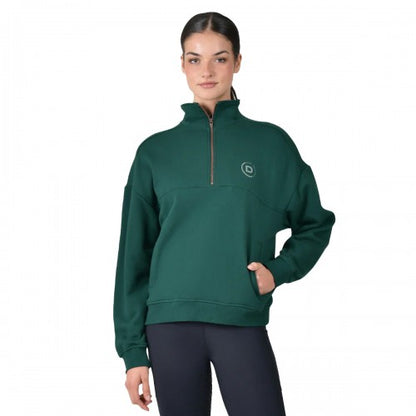 Front - Dublin Womens/Ladies Quarter Zip Fleece Top