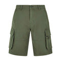 Front - Weird Fish Mens Rigney Cargo Shorts