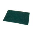 One Colour - Front - Wilsons Green Flat Scourer 9 x 6''