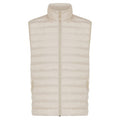 Front - Iqoniq Mens Meru Recycled Polyester Body Warmer
