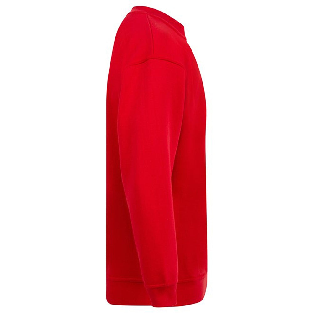 Red - Lifestyle - Absolute Apparel Mens Magnum Sweat