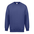 Royal - Front - Absolute Apparel Mens Magnum Sweat