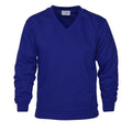Royal - Front - Absolute Apparel Mens V Neck Sweat