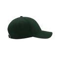 Green - Side - Atlantis Liberty Sandwich Heavy Brush Cotton 6 Panel Cap