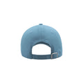 Light Blue - Back - Atlantis Liberty Sandwich Heavy Brush Cotton 6 Panel Cap