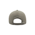 Light Grey - Back - Atlantis Liberty Sandwich Heavy Brush Cotton 6 Panel Cap