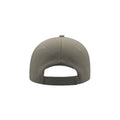 Light Grey - Back - Atlantis Liberty Six Brushed Cotton 6 Panel Cap