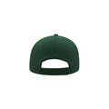 Dark Green - Back - Atlantis Liberty Six Brushed Cotton 6 Panel Cap