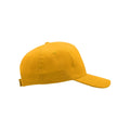 Yellow - Side - Atlantis Start 5 Panel Cap