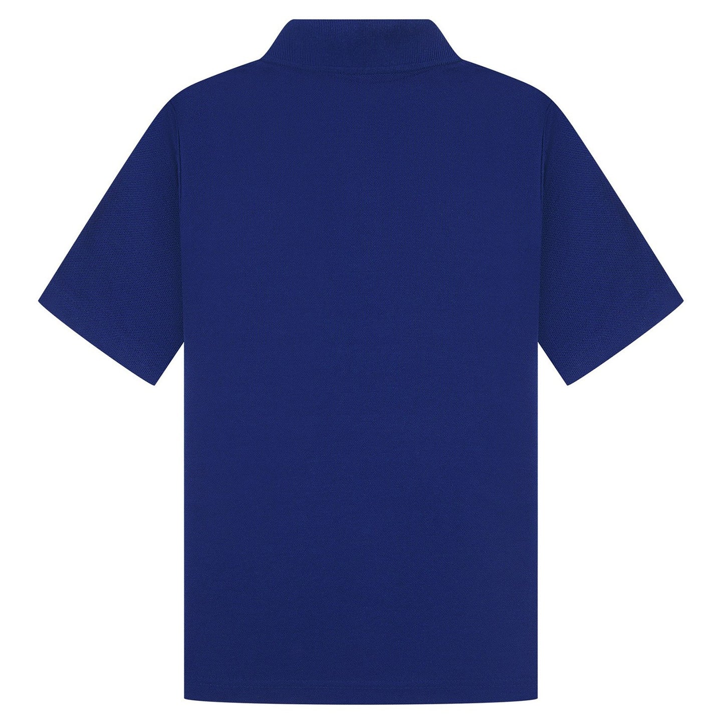 Cobalt - Back - Casual Classic Womens-Ladies Polo