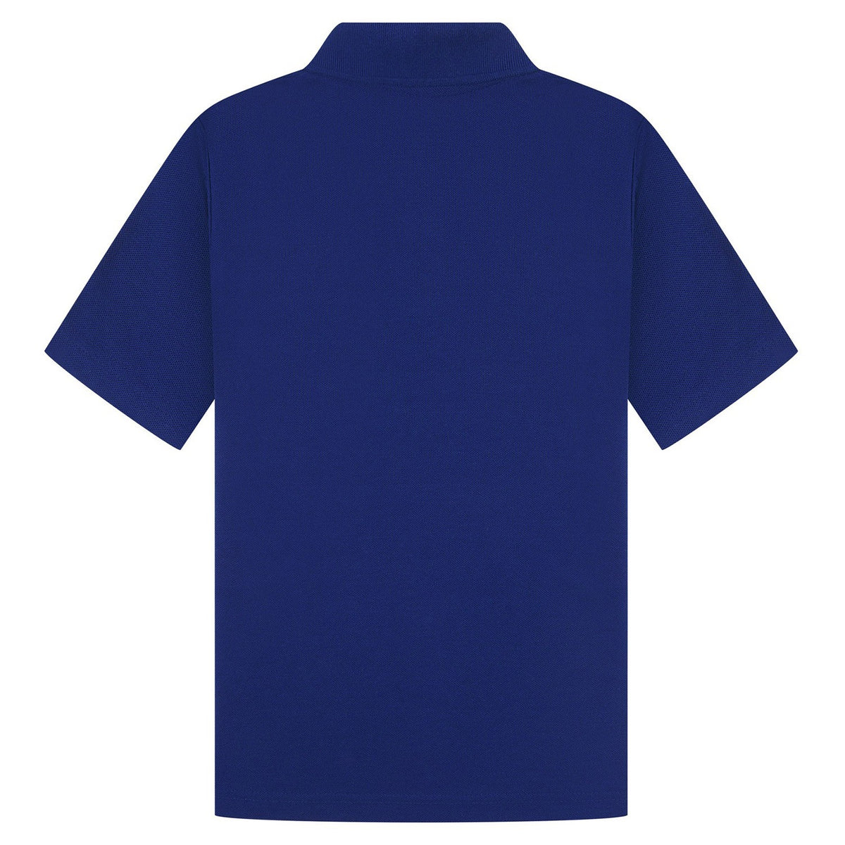 Cobalt - Back - Casual Classic Womens-Ladies Polo
