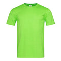 Kiwi Green - Front - Stedman Mens Classic Fitted Tee