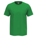 Kelly Green - Front - Stedman Mens Comfort Tee