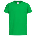Kelly Green - Front - Stedman Childrens-Kids Classic Tee