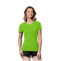 Kiwi Green - Back - Stedman Womens-Ladies Classic Tee