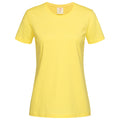 Yellow - Front - Stedman Womens-Ladies Classic Tee