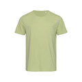 Powder Green - Front - Stedman Mens Shawn Oversized Slub Crew Neck Tee