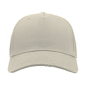 Stone - Back - Atlantis Cargo Weathered Visor 5 Panel Cap (Pack of 2)