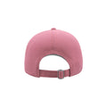 Pink - Back - Atlantis Action 6 Panel Chino Baseball Cap (Pack of 2)