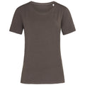 Dark Chocolate Brown - Front - Stedman Womens-Ladies Stars T-Shirt