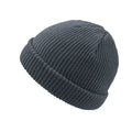 Grey - Front - Atlantis Skate Beanie