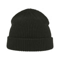 Forest Green - Back - Atlantis Woolly Wool Blend Beanie