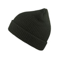 Forest Green - Front - Atlantis Woolly Wool Blend Beanie