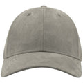 Grey - Front - Atlantis Unisex Adult Fam 6 Panel Sueded Baseball Cap