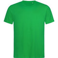 Kelly Green - Front - Stedman Mens Lux T-Shirt