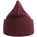 Burgundy - Back - Atlantis Unisex Adult Pure Recycled Beanie