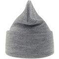 Light Grey - Back - Atlantis Unisex Adult Pure Recycled Beanie