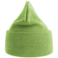 Acid Lime - Back - Atlantis Unisex Adult Pure Recycled Beanie