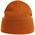 Orange - Front - Atlantis Unisex Adult Pure Recycled Beanie