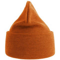 Orange - Back - Atlantis Unisex Adult Pure Recycled Beanie