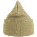 Beige - Back - Atlantis Unisex Adult Pure Recycled Beanie