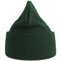 Bottle Green - Back - Atlantis Unisex Adult Pure Recycled Beanie