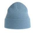 Light Avio - Back - Atlantis Unisex Adult Nelson Ribbed Organic Cotton Beanie