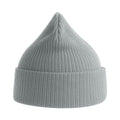 Light Grey - Side - Atlantis Unisex Adult Nelson Ribbed Organic Cotton Beanie