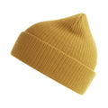 Mustard - Front - Atlantis Unisex Adult Nelson Ribbed Organic Cotton Beanie