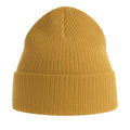 Mustard - Back - Atlantis Unisex Adult Nelson Ribbed Organic Cotton Beanie