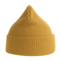 Mustard - Side - Atlantis Unisex Adult Nelson Ribbed Organic Cotton Beanie